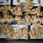 New crop ginger root ginger for sale with good quality