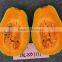 Hybrid sweet pumpkin seeds chinese vegetable seeds for sale 101