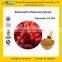 GMP Factory Supply Natural Schisandra Chinensis Extract