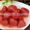 High quality Canned strawberry in light syrup