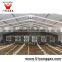 Poultry Liquid Cooling system Cooling Pad and Fan in Poultry Farm