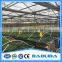 PE Mesh Covered Greenhouse