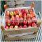 Natural unfinished lightweight wooden fruit crates for sale