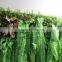 art design artificial grass plant combination framed plants on wall LGH15-17