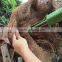 plastic artificial king coconut tree green large Coconut Tree