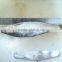 frozen sardine (sardinella longiceps) ,New arrivals