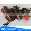 HL011 Hot sale Frozen Floridana Sea Cucumber