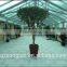 Artificial Japanese Fruticosa Tree foliage plant for decorated