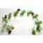 1.54M Grape vines + 5PCS Grape