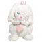 Sleeping Stuffed Plush White Rabbit Toy With Heart Custom Long Ears Soft Girl Toy Plush Rabbit