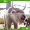 OEM factory park shopping mall display realistic life size animal sculpture