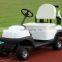 Top designer club GolfCart, Single Seater GolfCar with Curtis System and 36V DC Motor!
