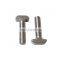 European standard t-bolt t head bolt