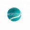 Hot Sales Dog Training Elastic Tennis Ball Pet Playing Toy