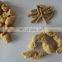 Soya nuggets machine/soya chunks machine by chinese  supplier since 1995