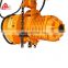 Rian proof high protection grade electric chain hoist with trolley