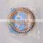 excavator bearing SF4852PX1