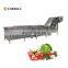 Industrial Vegetable Processing Line Salad Cutting Washing Dewatering Machine for sale