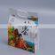 Custom Printed Square Bottom Zipper Ziplock Plastic Bag with Handle Side Gusset Flat Bottom Packaging Pouch with Clear Window