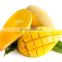 100% NATURAL FOR HEALTH  FRESH MANGO WITH GOOD QUALITY MADE IN VIET NAM