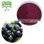 Chokeberry Extract Chokeberry Extract Chokeberry Fruit Powder