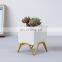 Mini Gold Pot Indoor Creative Wholesale Ceramic White Europe Square Decorative Creamic Flowers Small Nursery Luxury Flower Pots