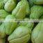 big chayote Peeling Machine Skiving Machine peeler industrial machine