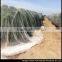 hot sale Agricultural HDPE anti bee net/ anti hail net