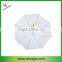 Stick Clear Dome Shaped Apollo Umbrella