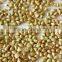 hulled buckwheat kernels green colour withour husk