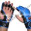 MMA/ Grappling/ Vale Tudo Gloves