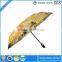 Promotional Gift Umbrella Color Changing Umbrella wholesale