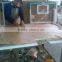 Transparent Basketball backboard