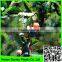 100% original HDPE with UV additives Crop protection anti bird net / 20m x 6m wide garden anti bird netting