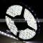 5 Meter SMD 3528 60LED/M LED Stripe Waterproof LED Flexible Tape 300 LED RGB/White/Warm white/Blue Strip Super Bright