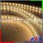 DC 12V 24V swiming pool waterproof ip68 led strip 5050