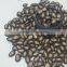 New Crop Chinese Musk Melon Seeds