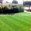 artificial grass garden