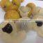 2015 July 100% Orchard fresh sweet Longan fruit