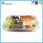 Dispoable takaway food/lunch storage packaging box biodegradable