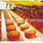 Automatic Cake Machine for paper cup , cake making machine