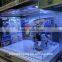 toys display case, led acrylic lighted display case for hot toys, lighted glass display case