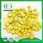 wholesale organic freeze dried sweet corns                        
                                                                                Supplier's Choice