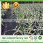 100% fabric non-woven spunbond dot style garden weed control fabric