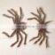 China supplier high quality mini spider halloween home decoration