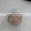Chinese black garlic