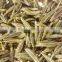 india Jeera seed