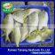 Wholesale Seafood Frozen Golden Pompano/golden Pomfret