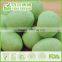 HACCP,ISO,BRC,HALAL Certification Round Wasabi Peanuts with best quality and hot price