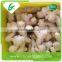 Dehydrated organic ginger